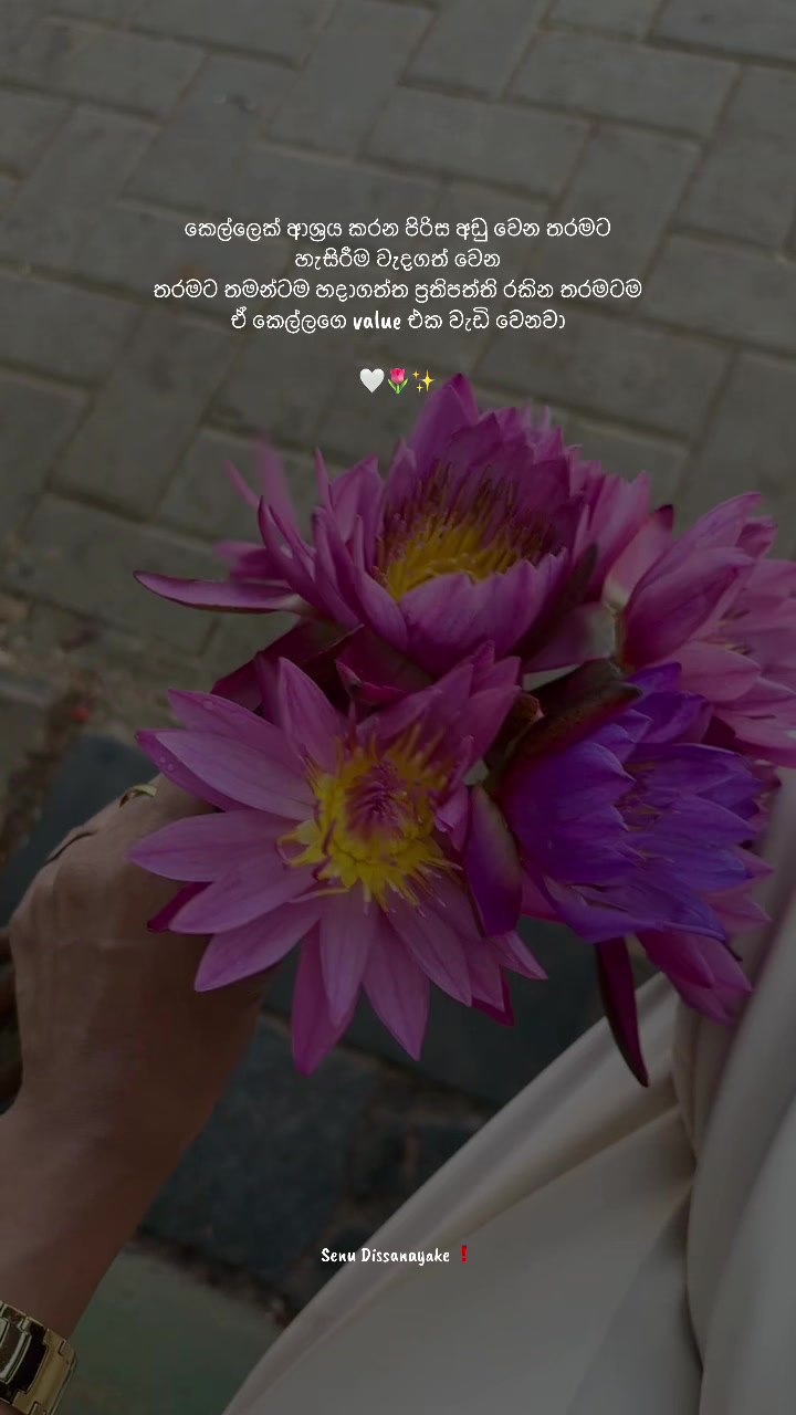 @සෙනූ දිසානායක❗️🧿