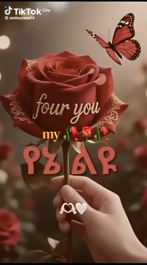@Tafach zewdu
