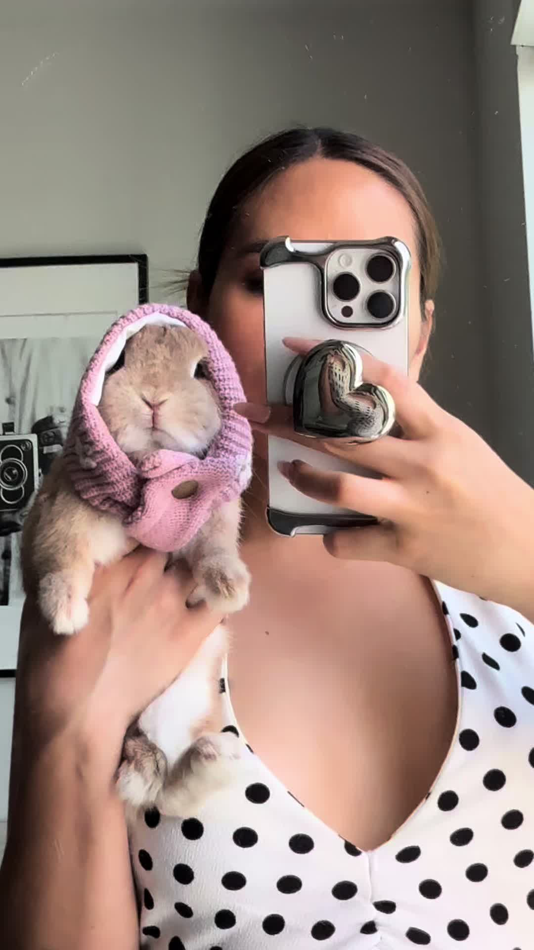 @Bunnydayoff