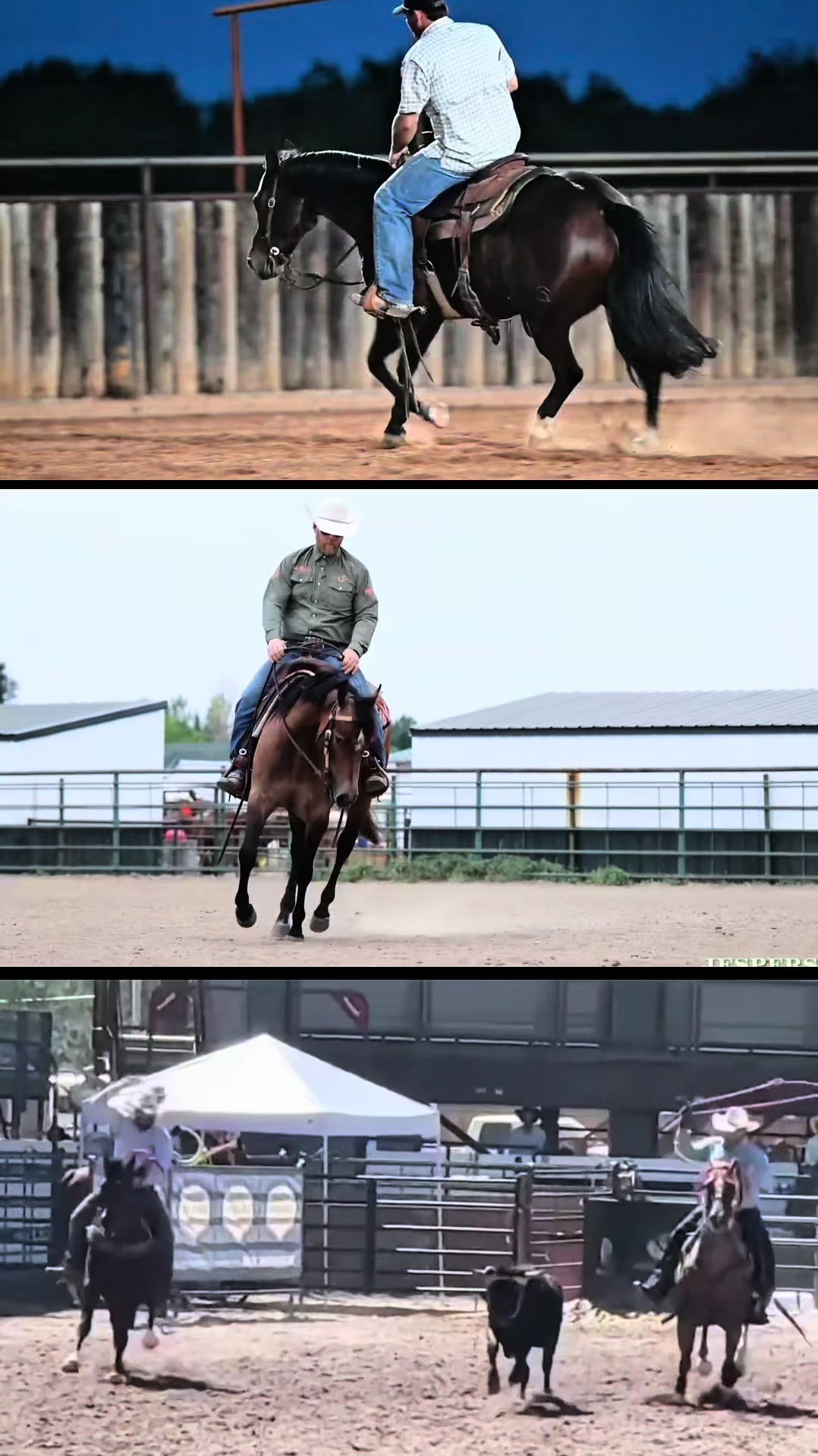 @HorseAuctionsUSA