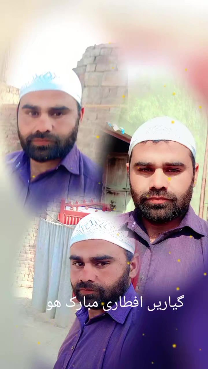 @rehmat