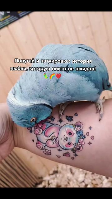 @꧁༺ЗлостнаяСучка 🌈༻꧂