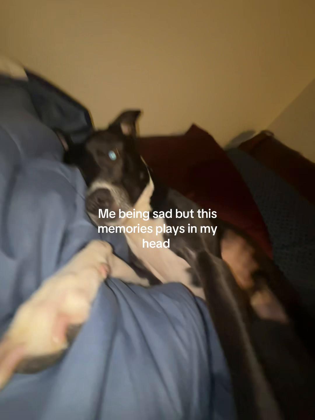 @Lilmisher1027