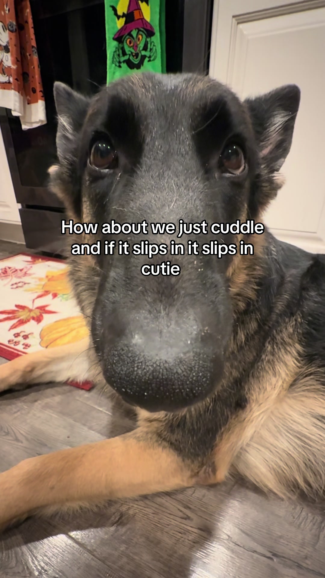@Bhris