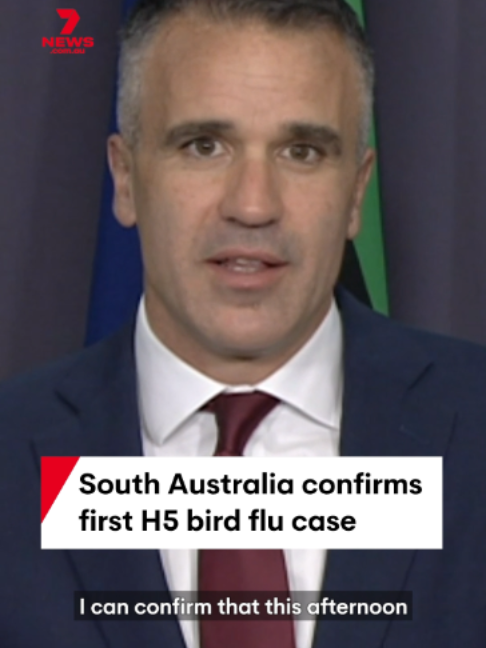 @7NEWSAdelaide