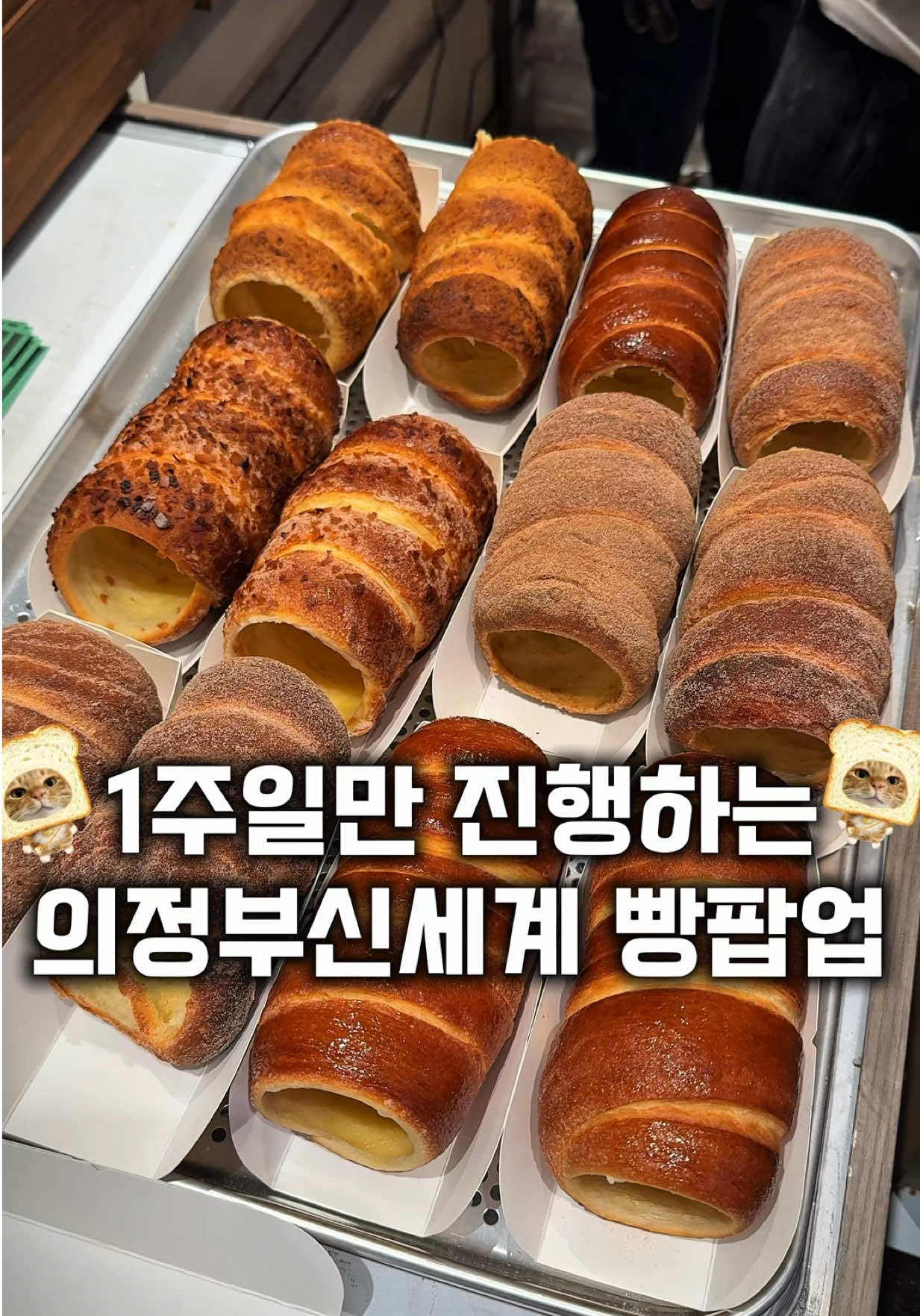 @먹보패밀리