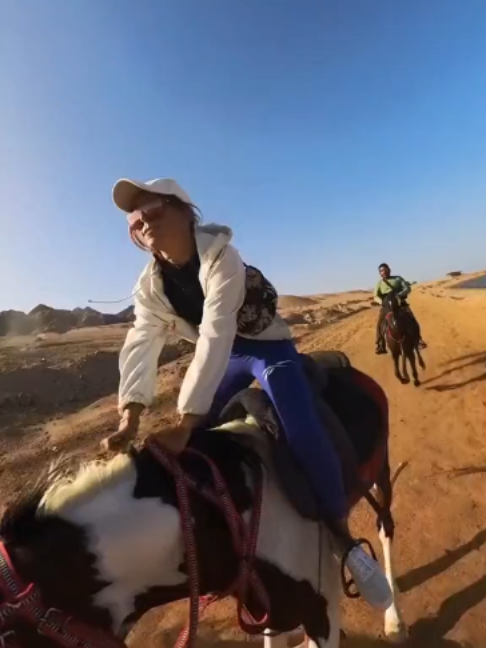 @Horses TikTok