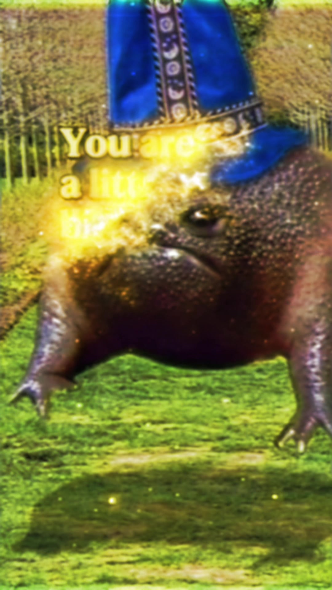 @Holy Frog Father