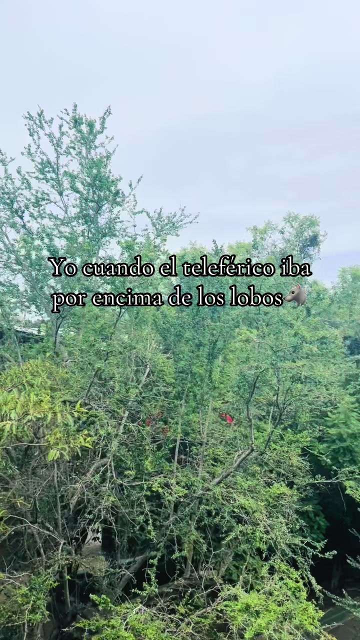 @Anny Morales