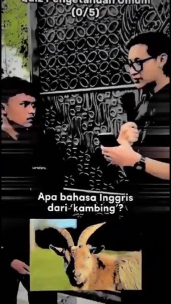 @ dodo