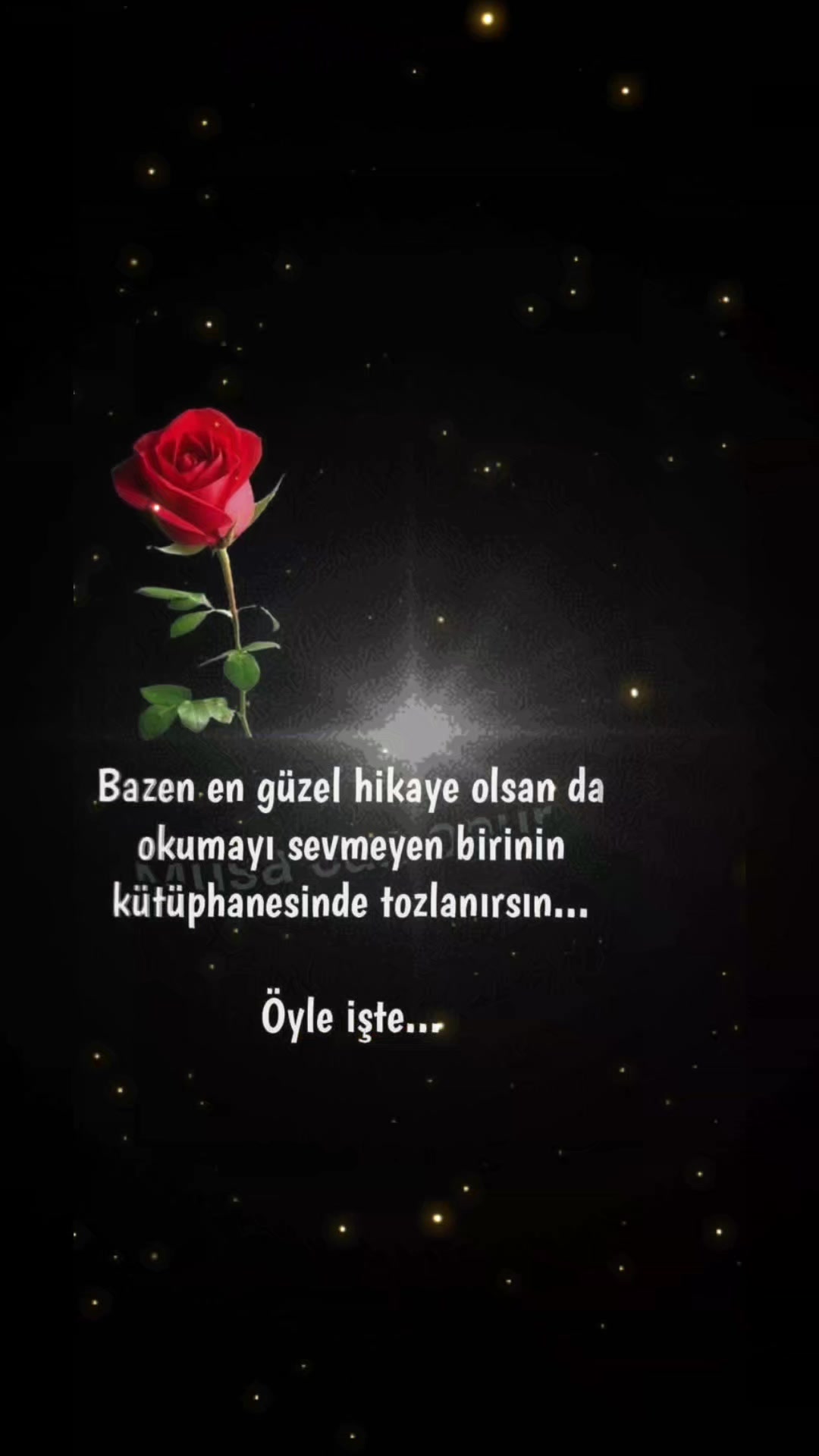 @Suzan...3