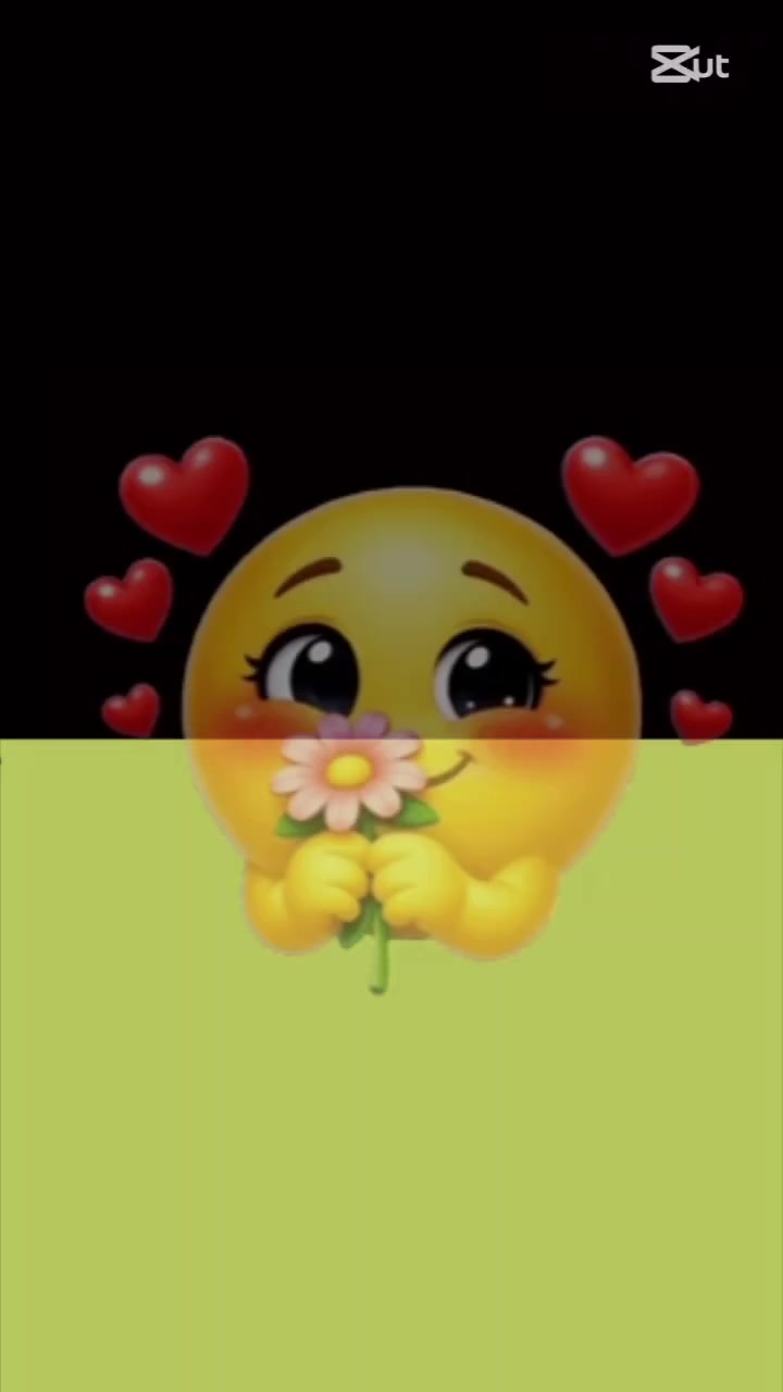 @Zen.z$$AR