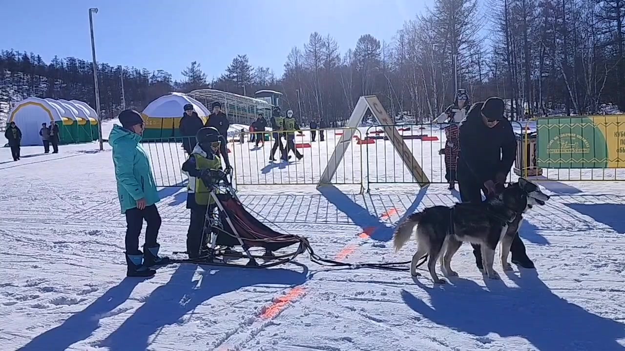 @Полина Шелестовская