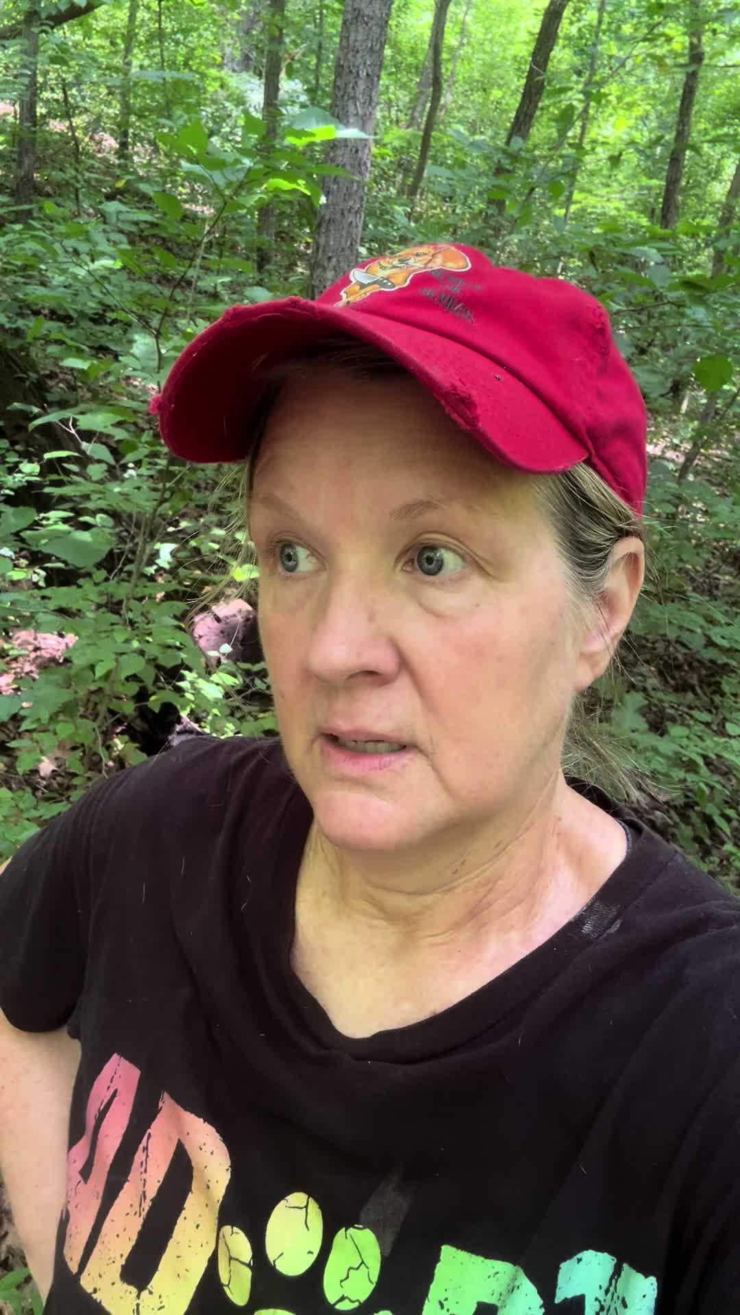 @amymaurercreel