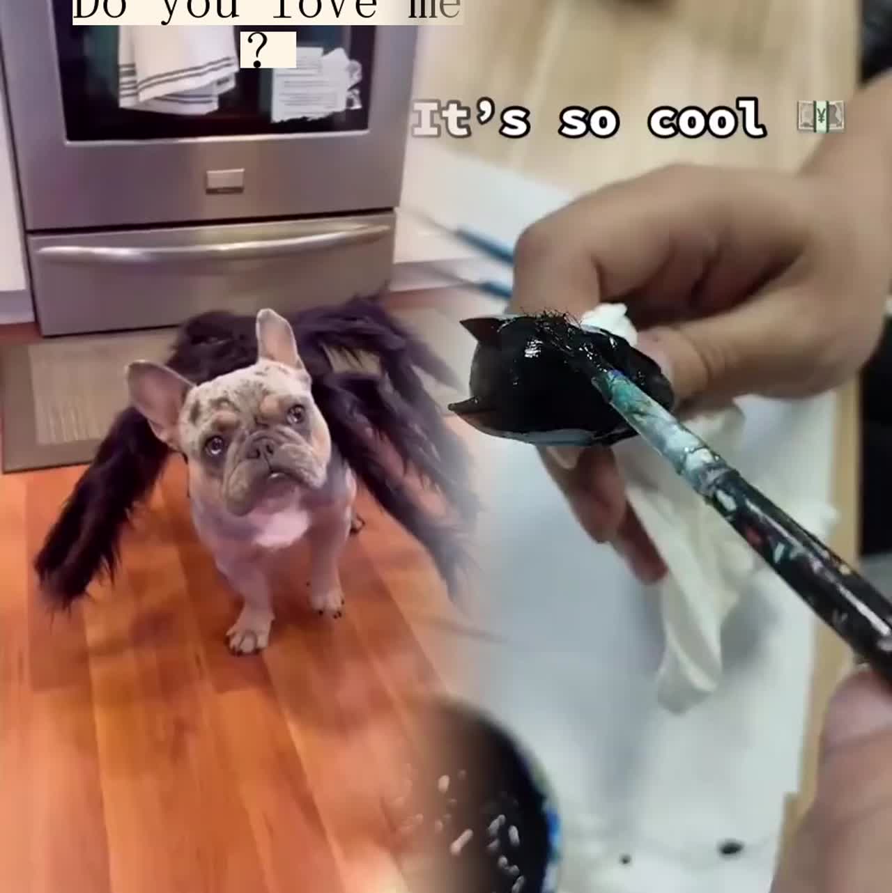 @vkdd1009