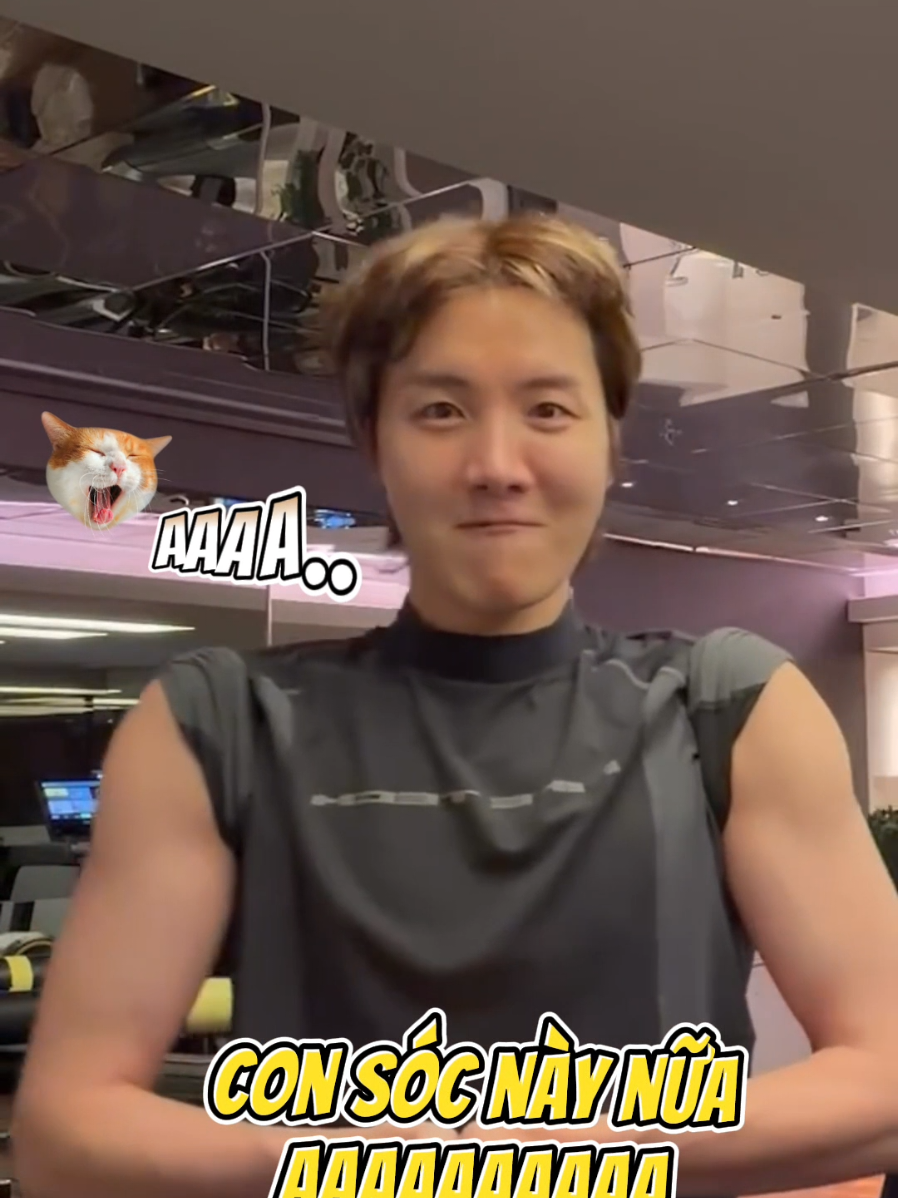 @Hobihoba💜
