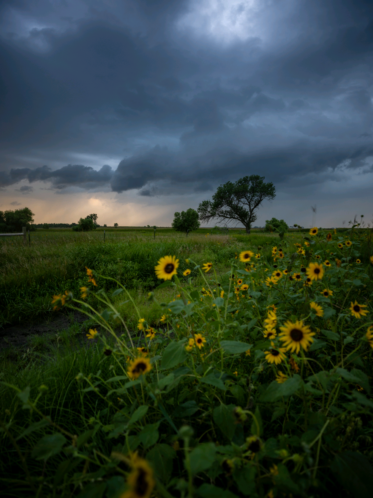 @Aaron Groen