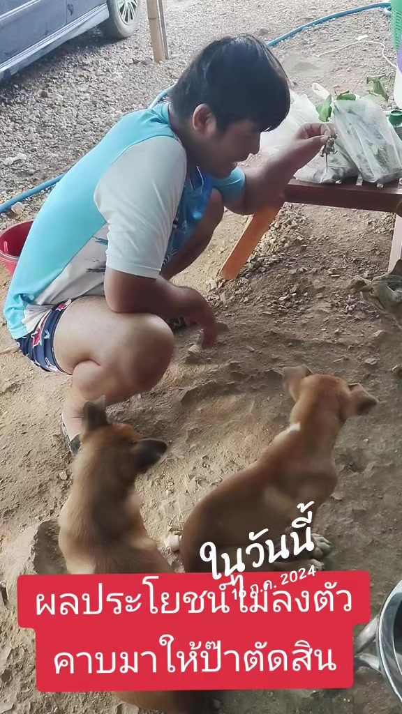 @SabuyNN