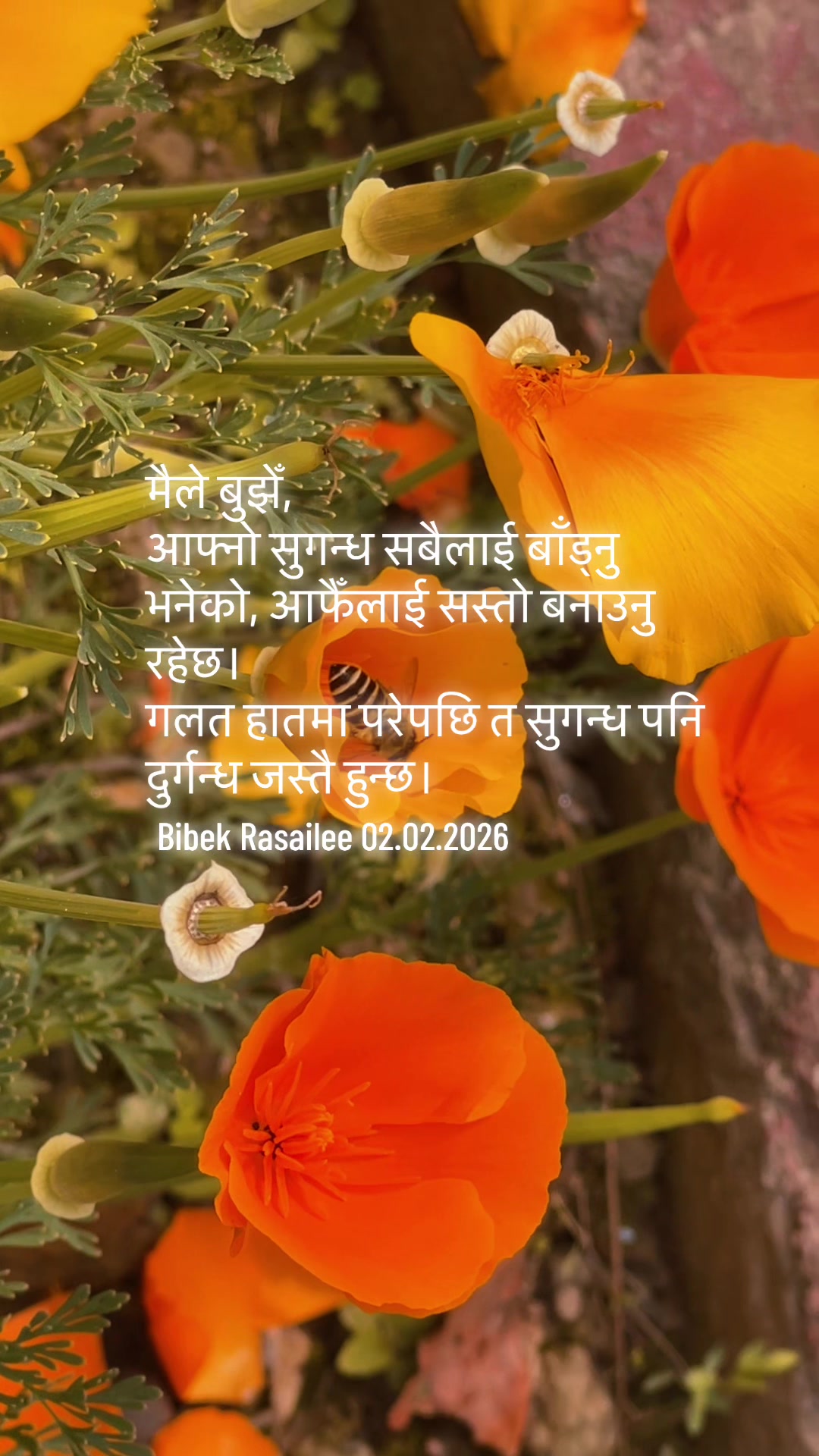 @Bibek Rasailee