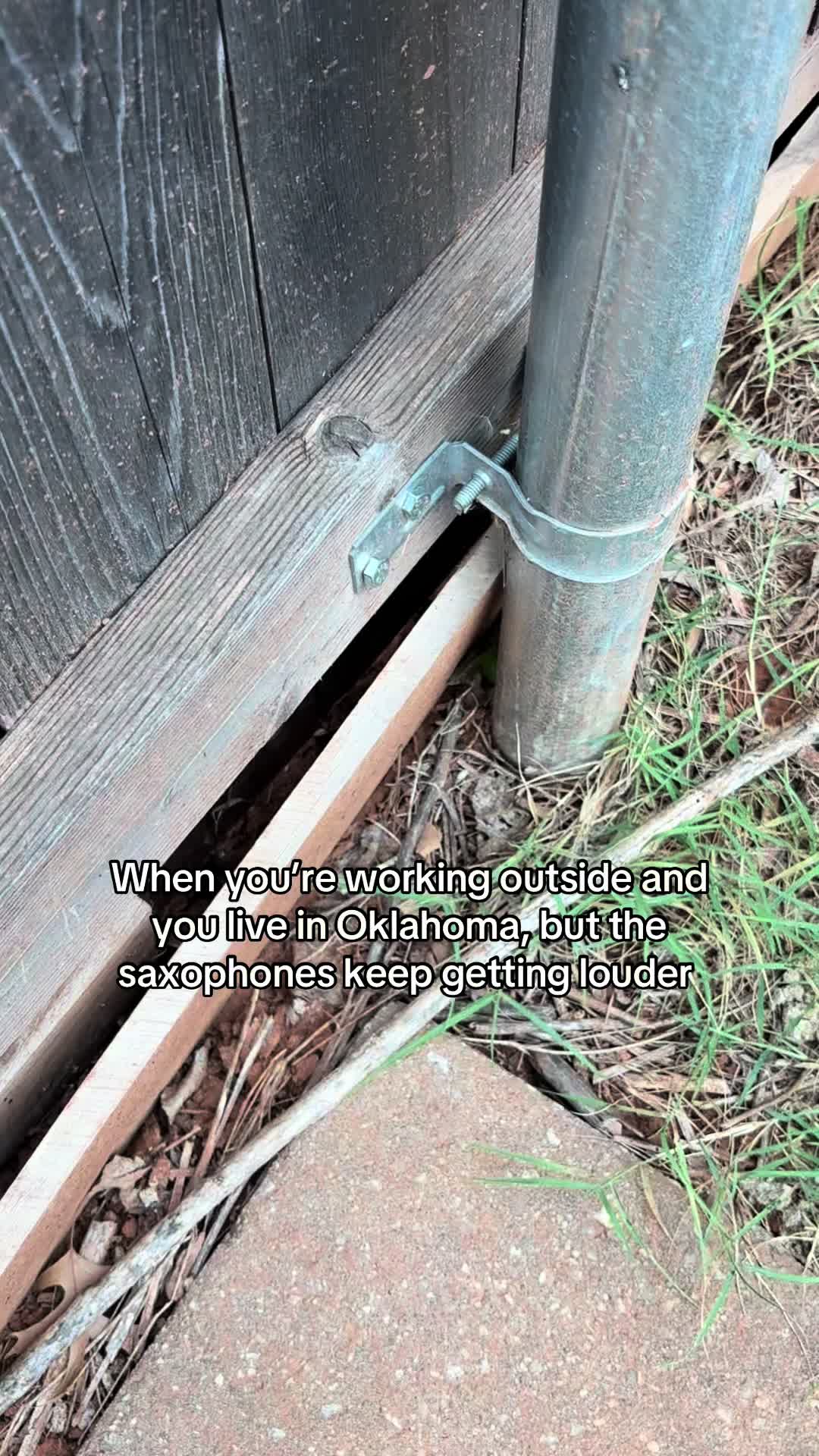 @๐ธ๐๐๐๐ ๐ญ๐๐๐๐๐