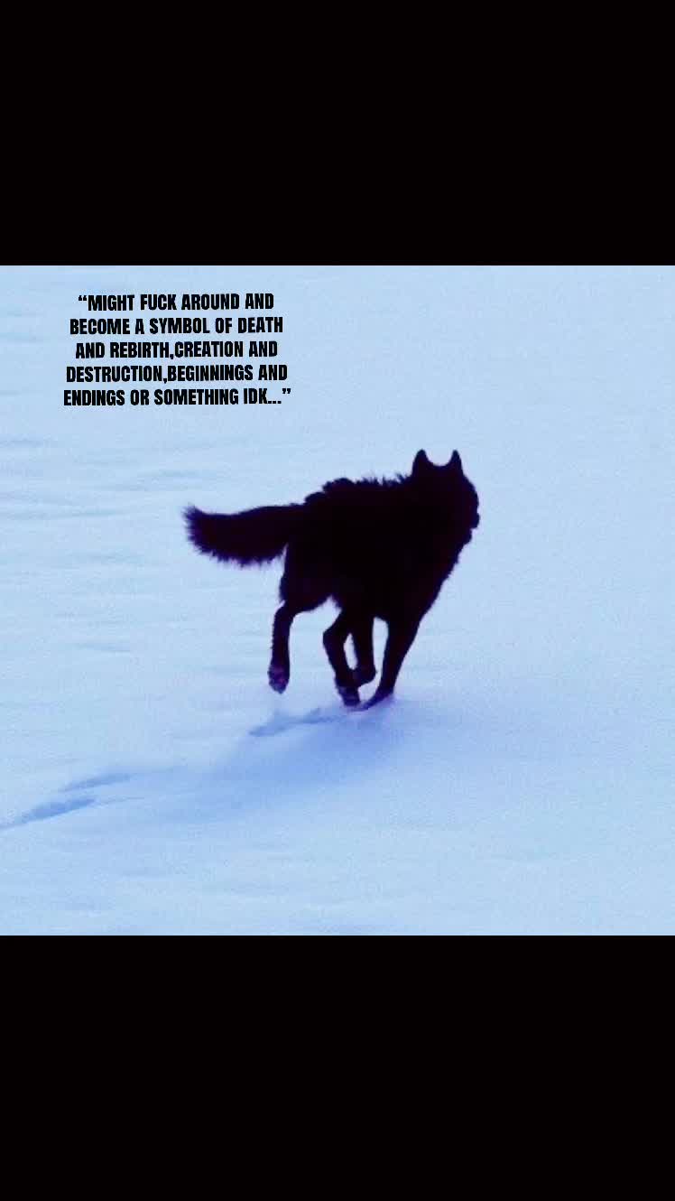@🪬Conscious_LoneWolf🐺