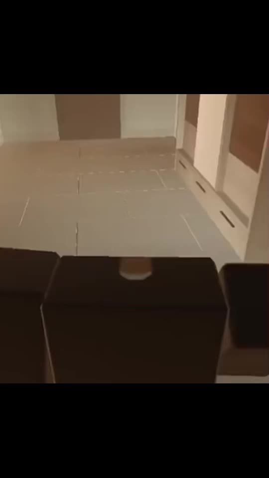 @Veshsolo