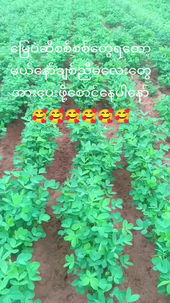 @muhantun0