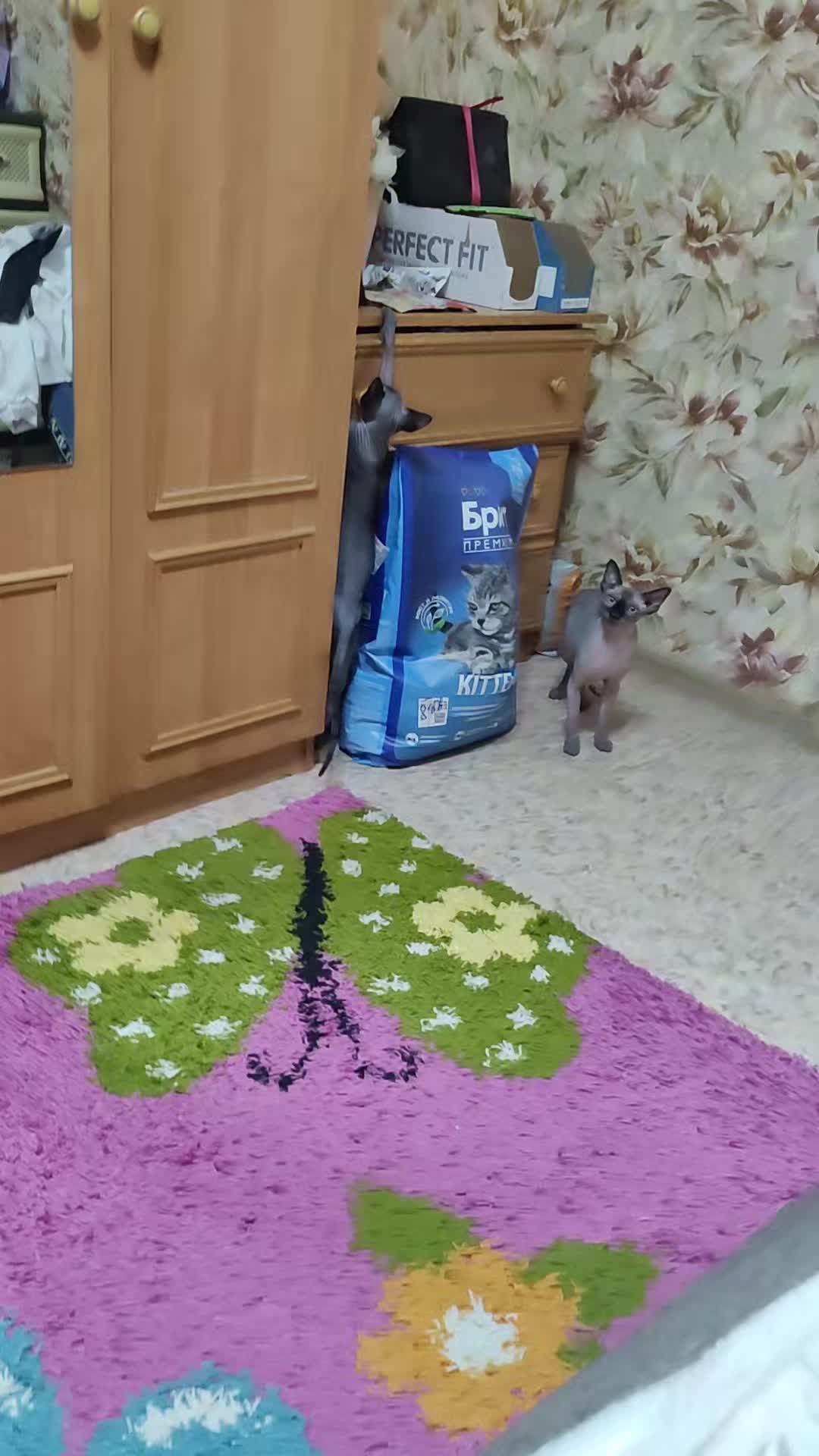 @zoloto_juliya