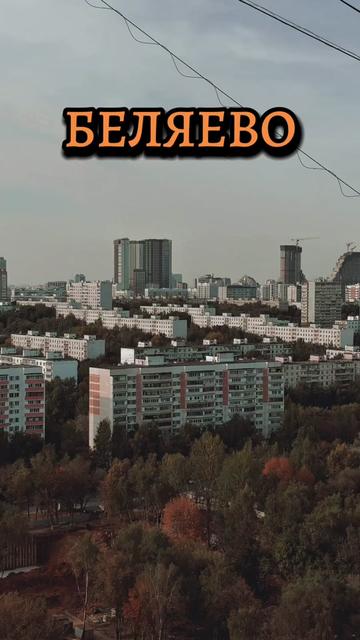 @VITALIY
