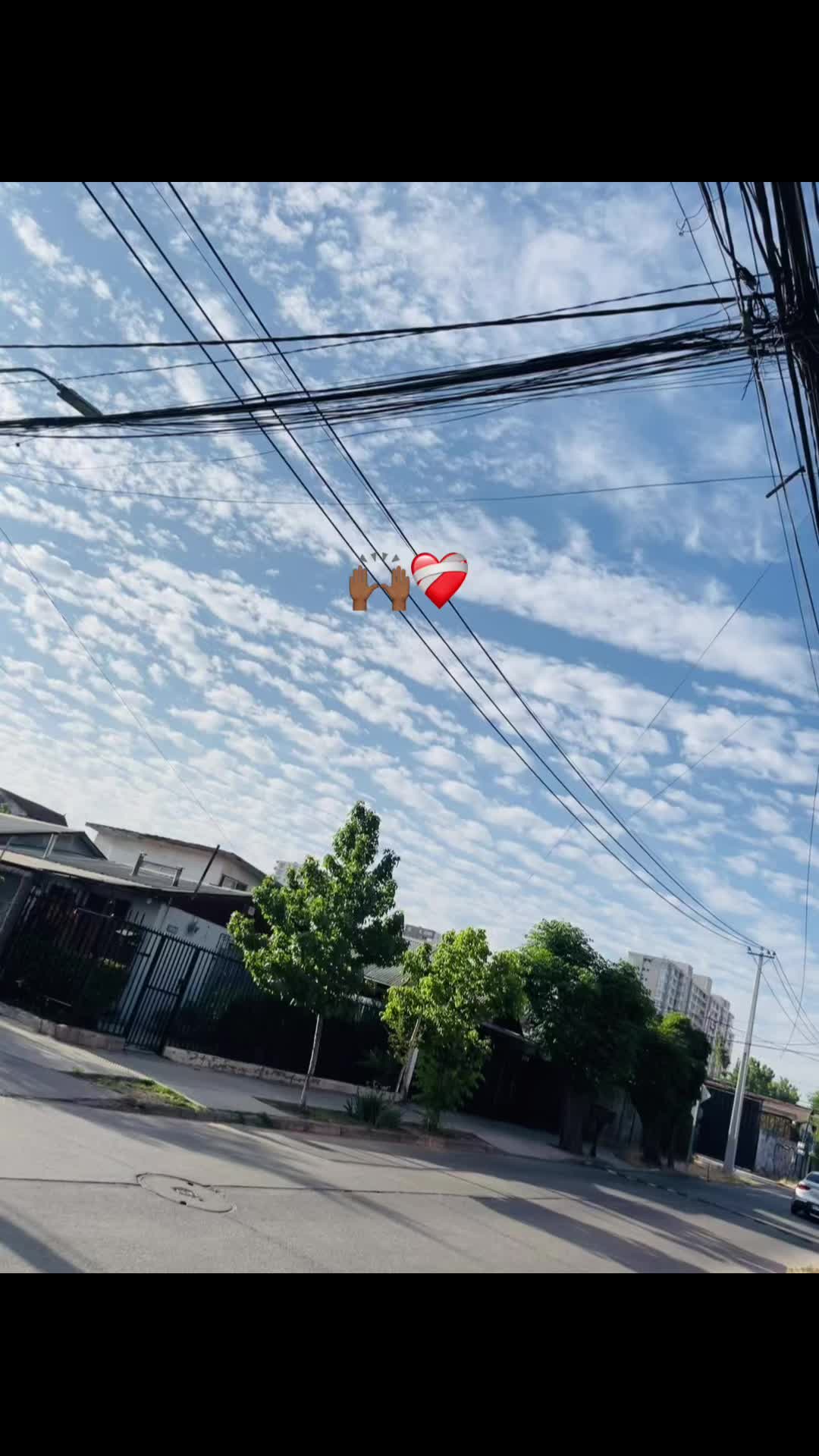 @AndreinaG🤎