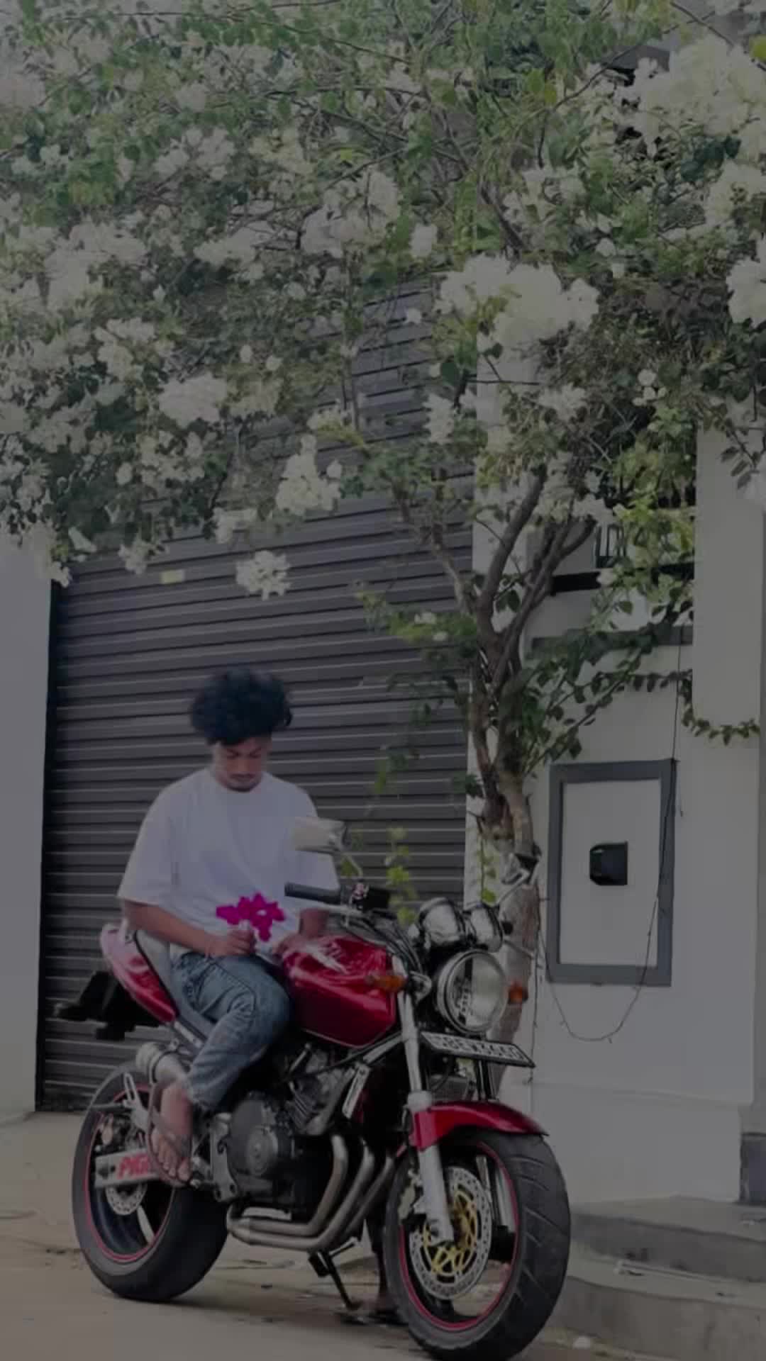 @𝒱𝓇𝒶𝒾𝓃ℴ_!&bull;