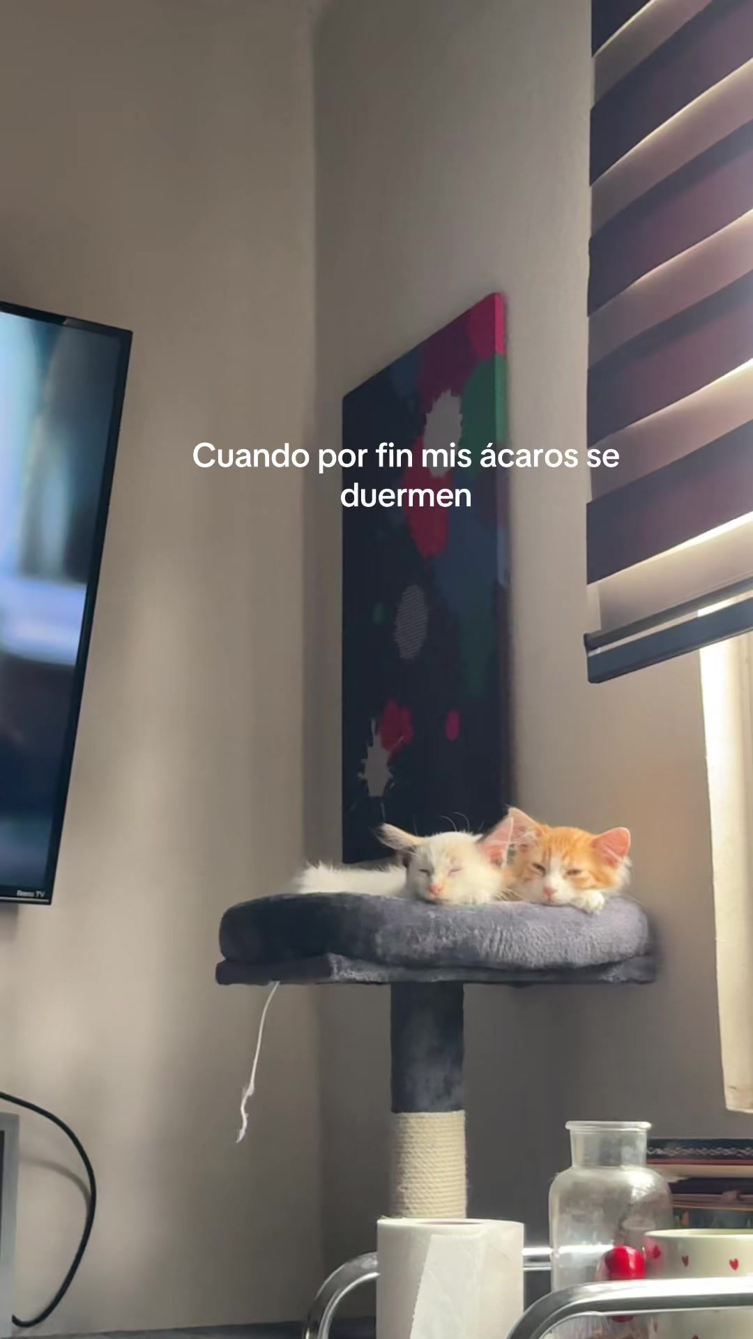 @Linda Miaw