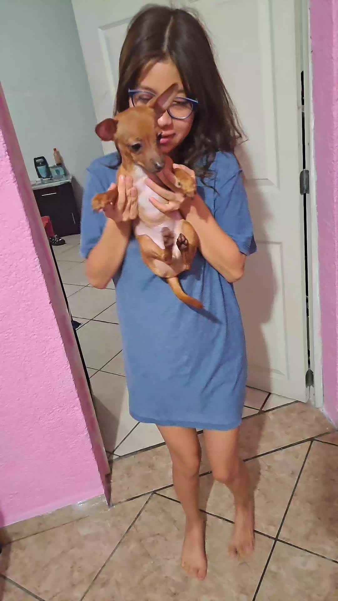 @alexcet