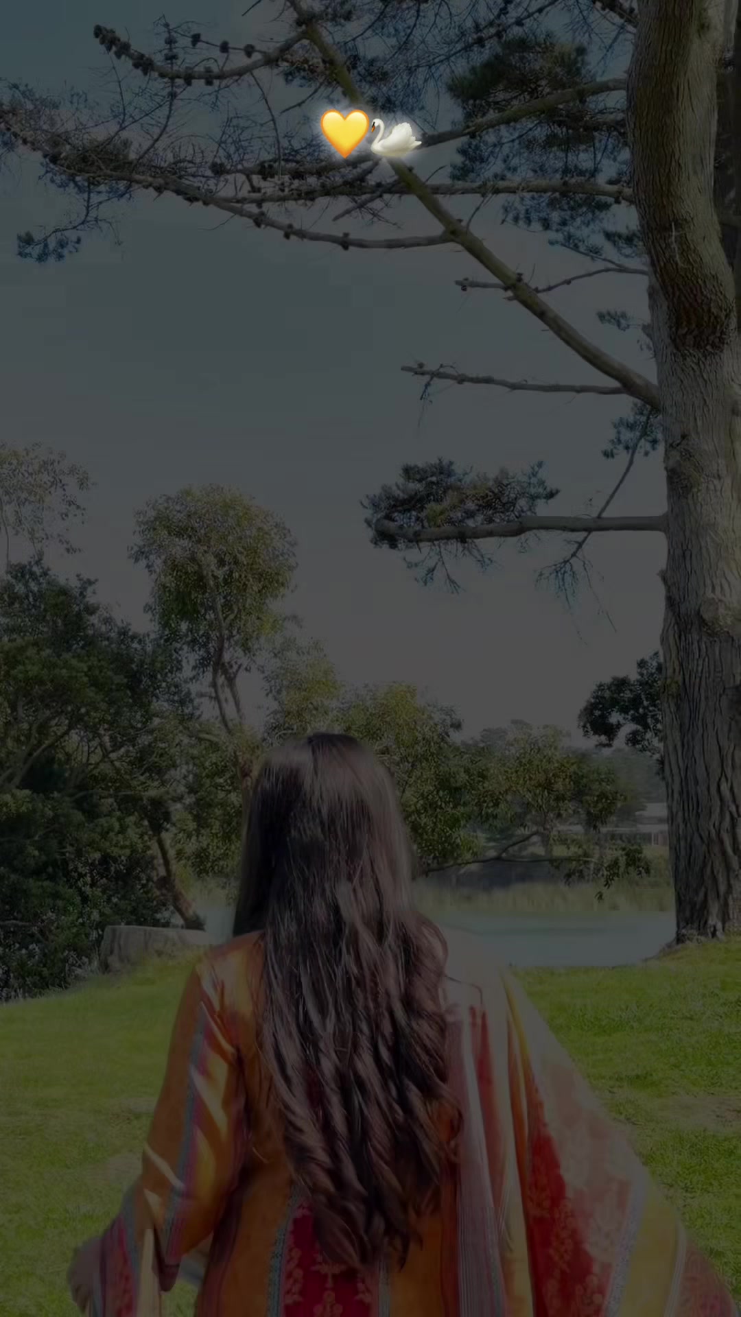 @🕊️💗
