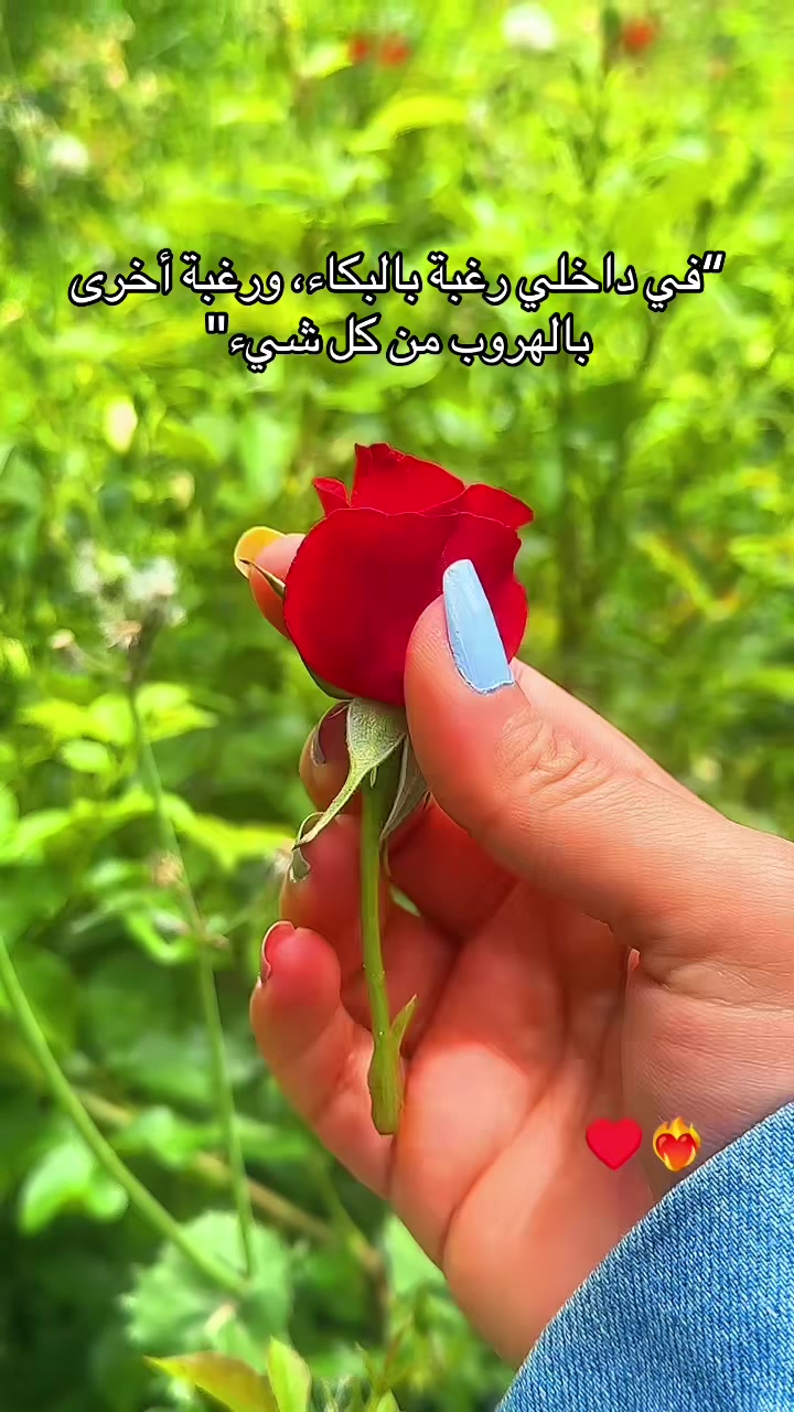 @زهـ♥̨̥̬̩رة نيسآإن