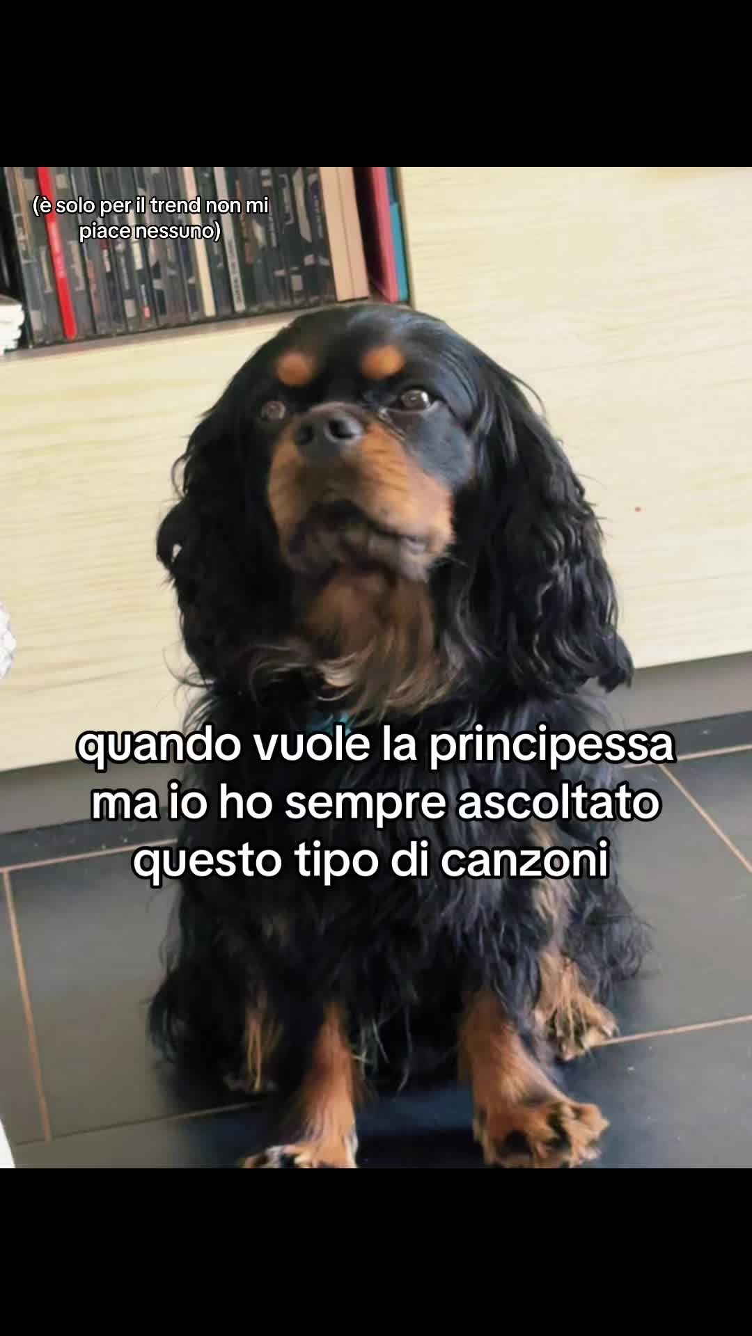 @✨ginevra✨