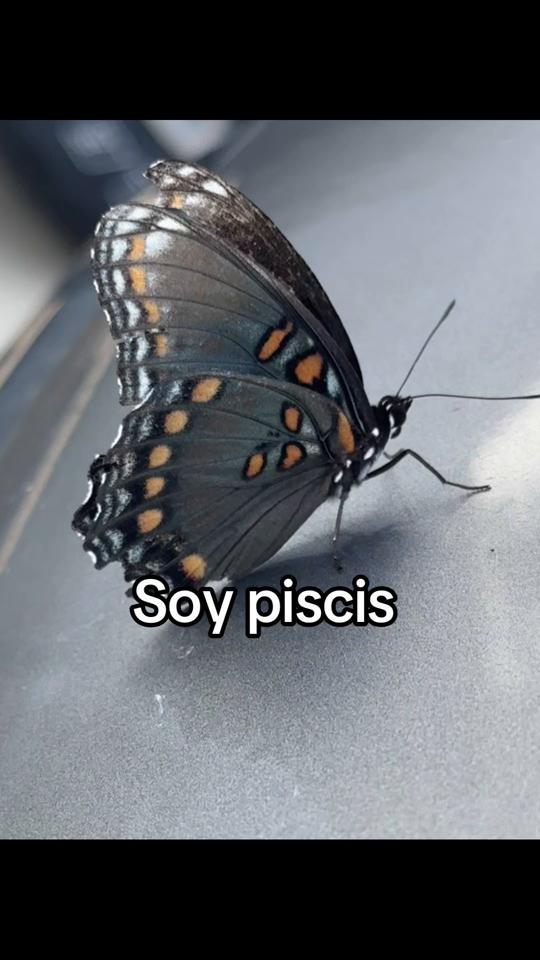 @Sandra