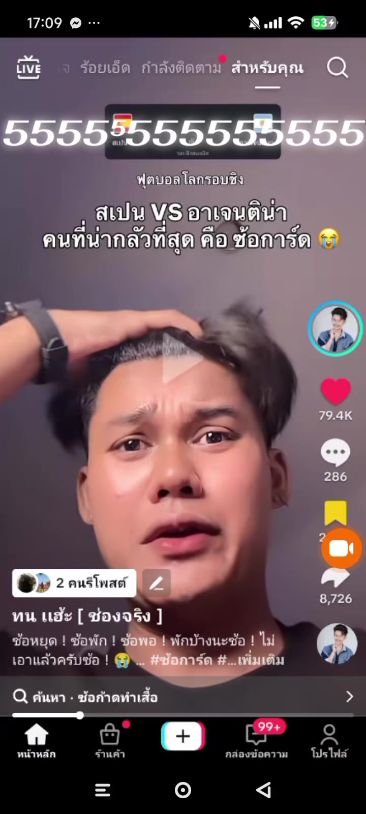 @แมววัดพันปี