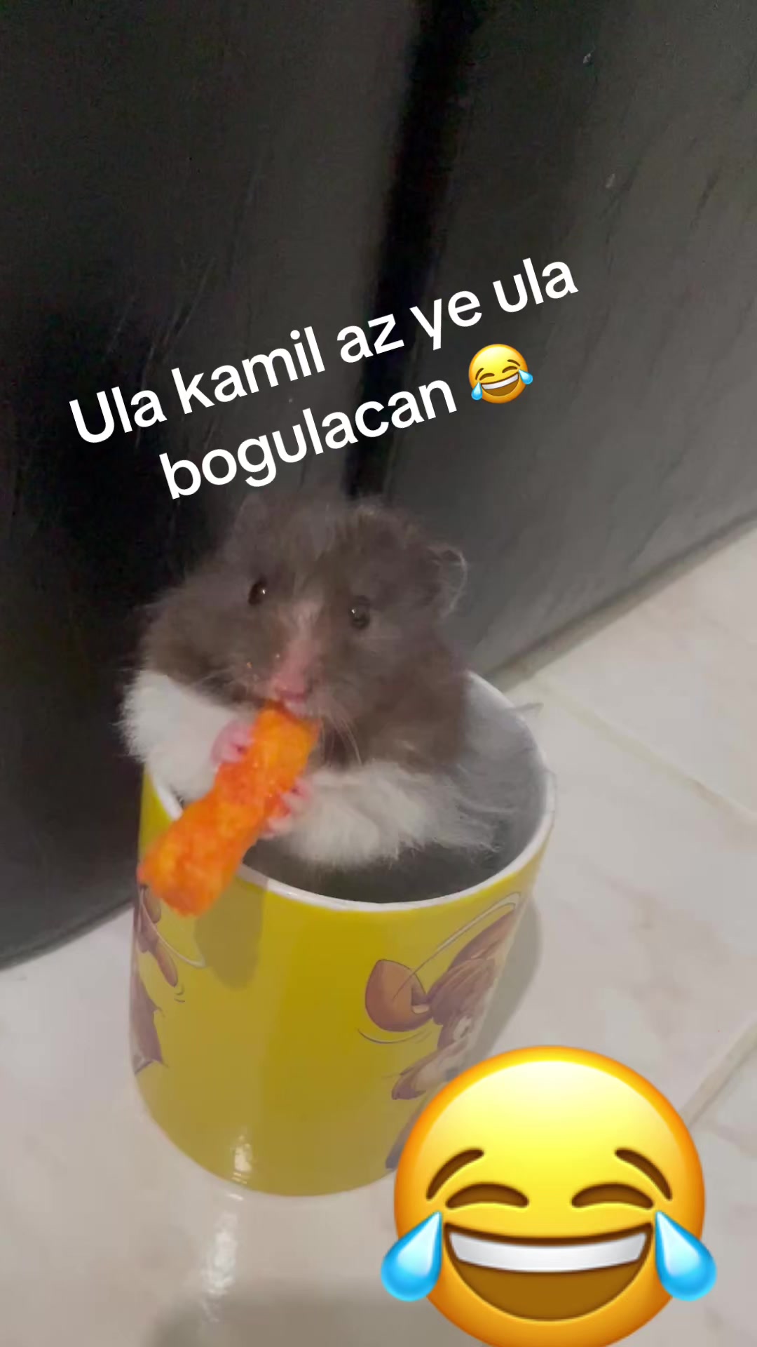 @😱BEN YAPMADIM BEN SU&Ccedil;SUZUM😱