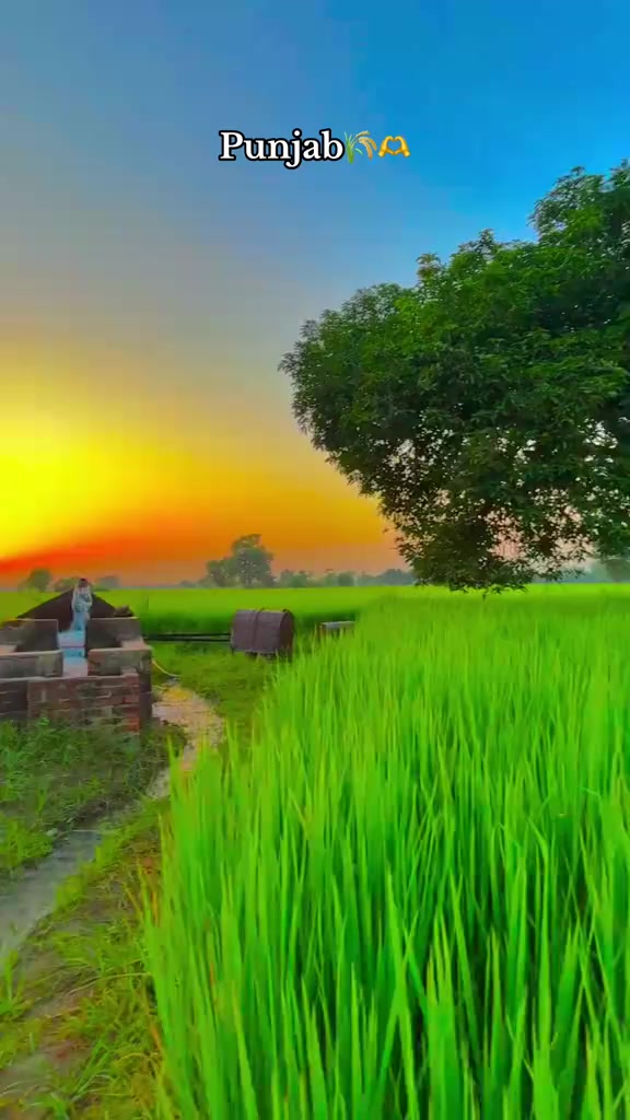 @@Raja 804