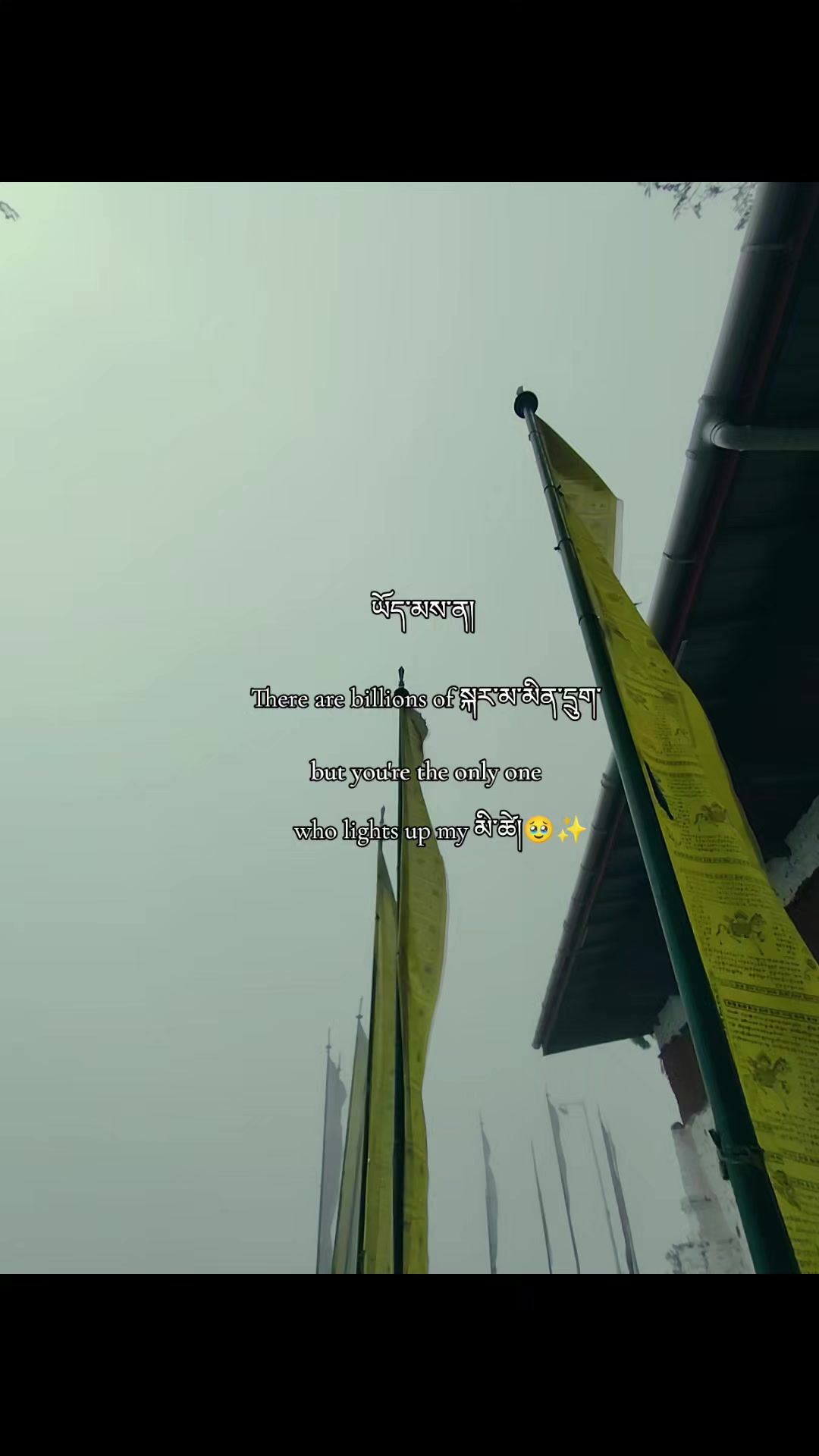 @Yourfavboy_norbu