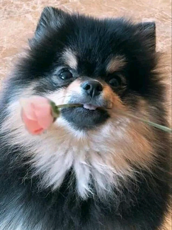 @V