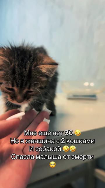 @Evgeniya_707_Jetta