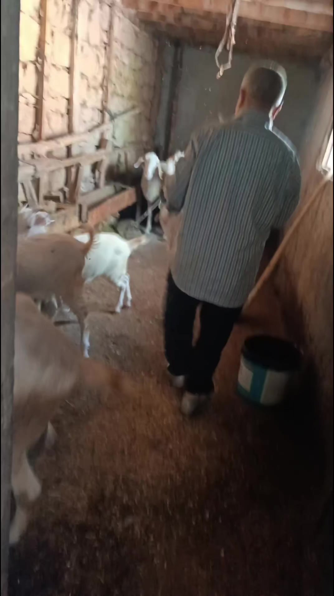 @Nazif Geriş