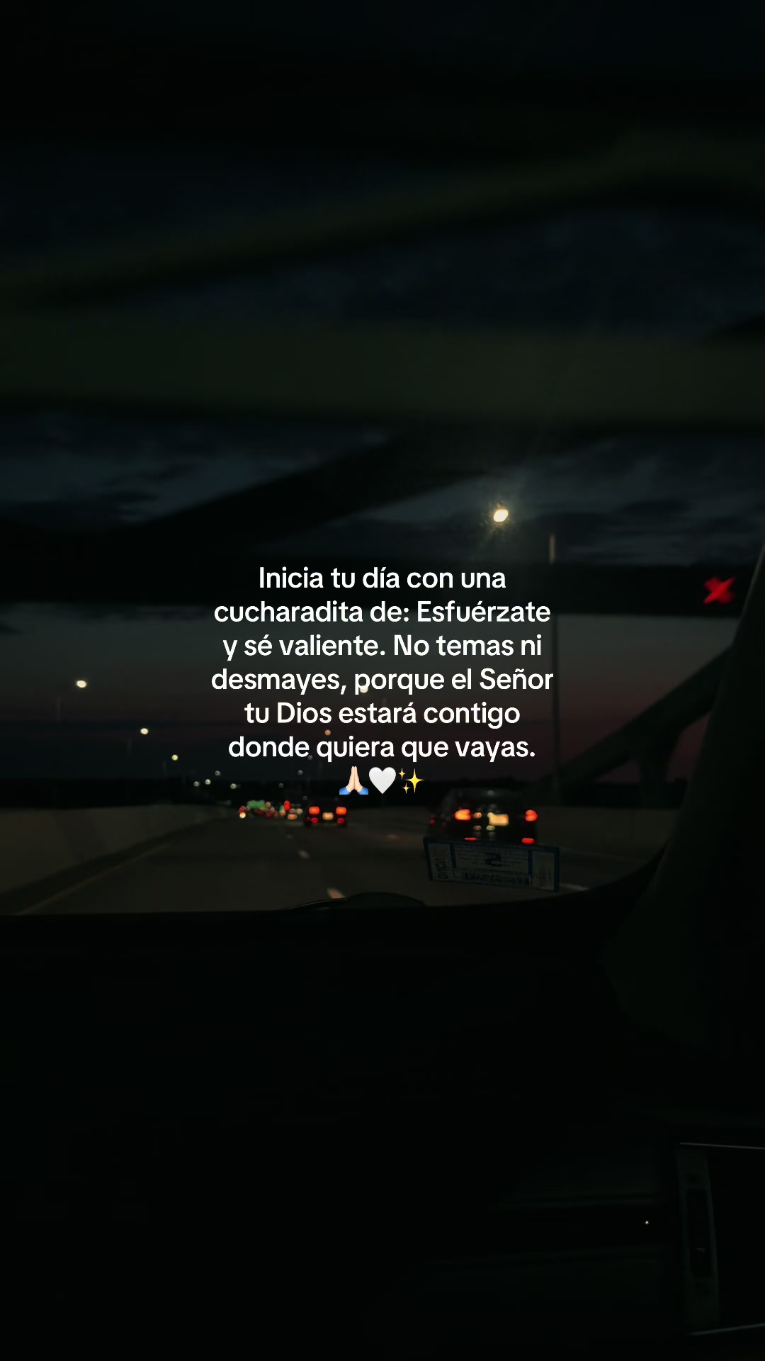 @ℛ𝑜𝓊𝓈 ꫂ ၴႅၴ⋆.𐙚 ̊