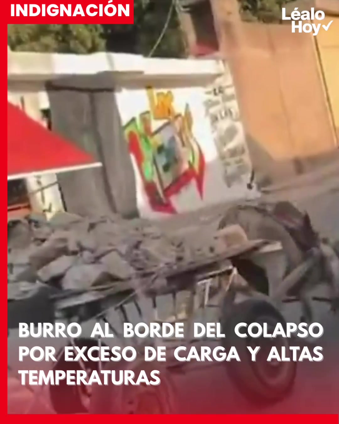 @lealoperiodico