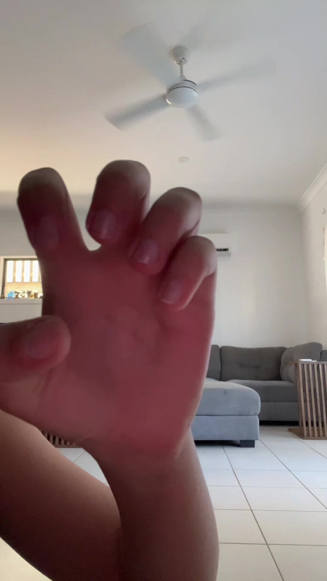 @charlotte rose