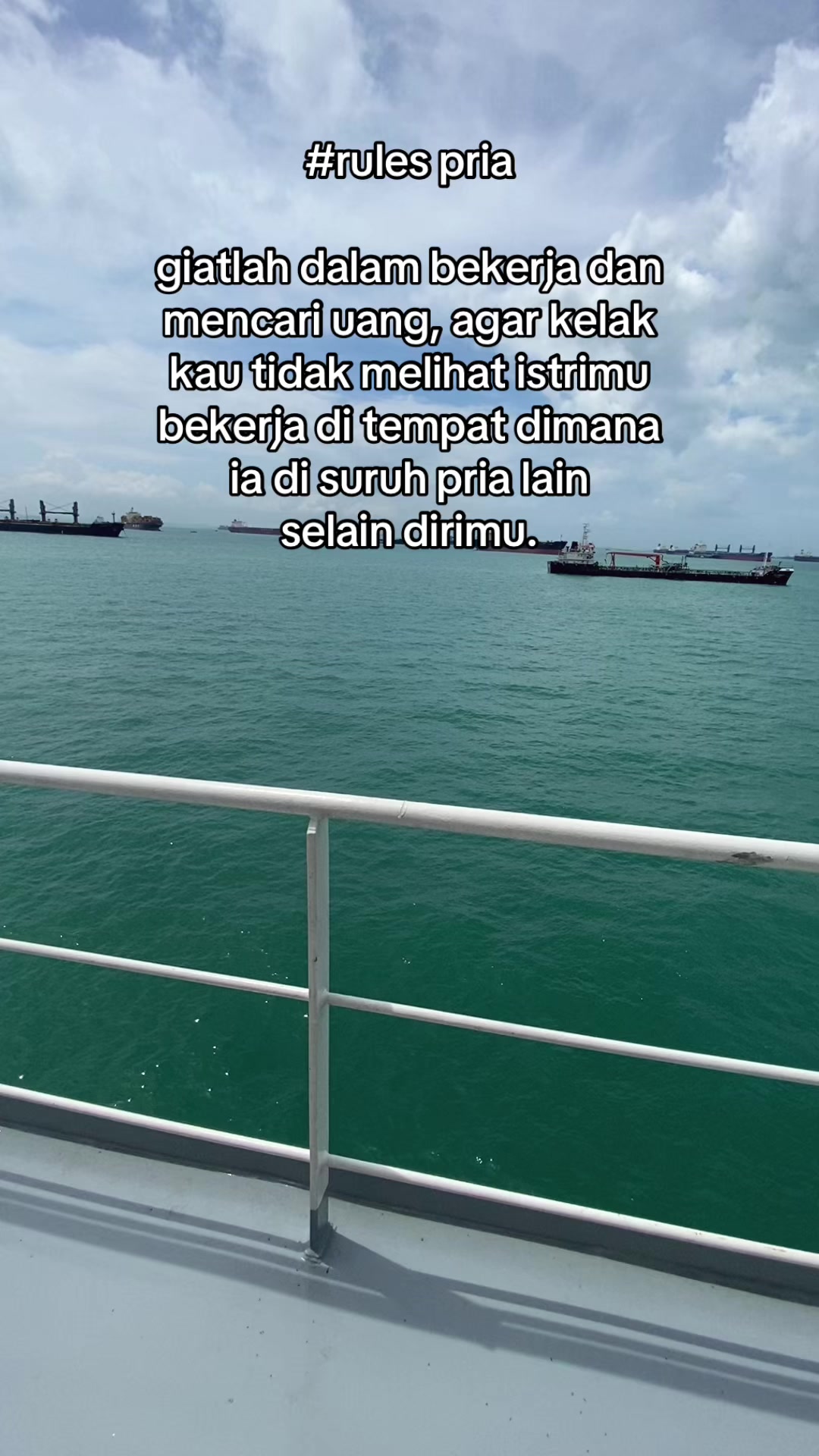@🐬