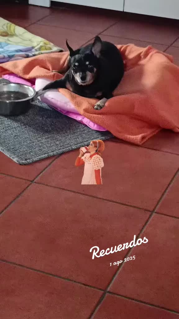 @Martín y Carlota