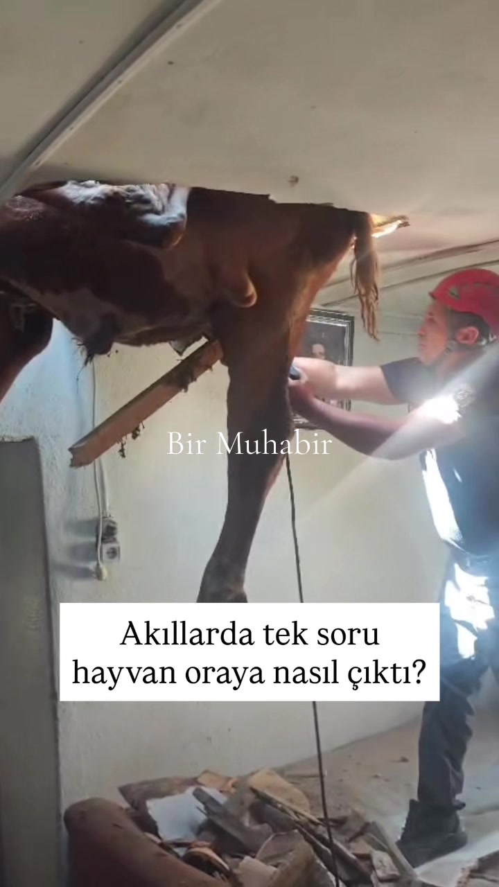 @Bir Muhabir